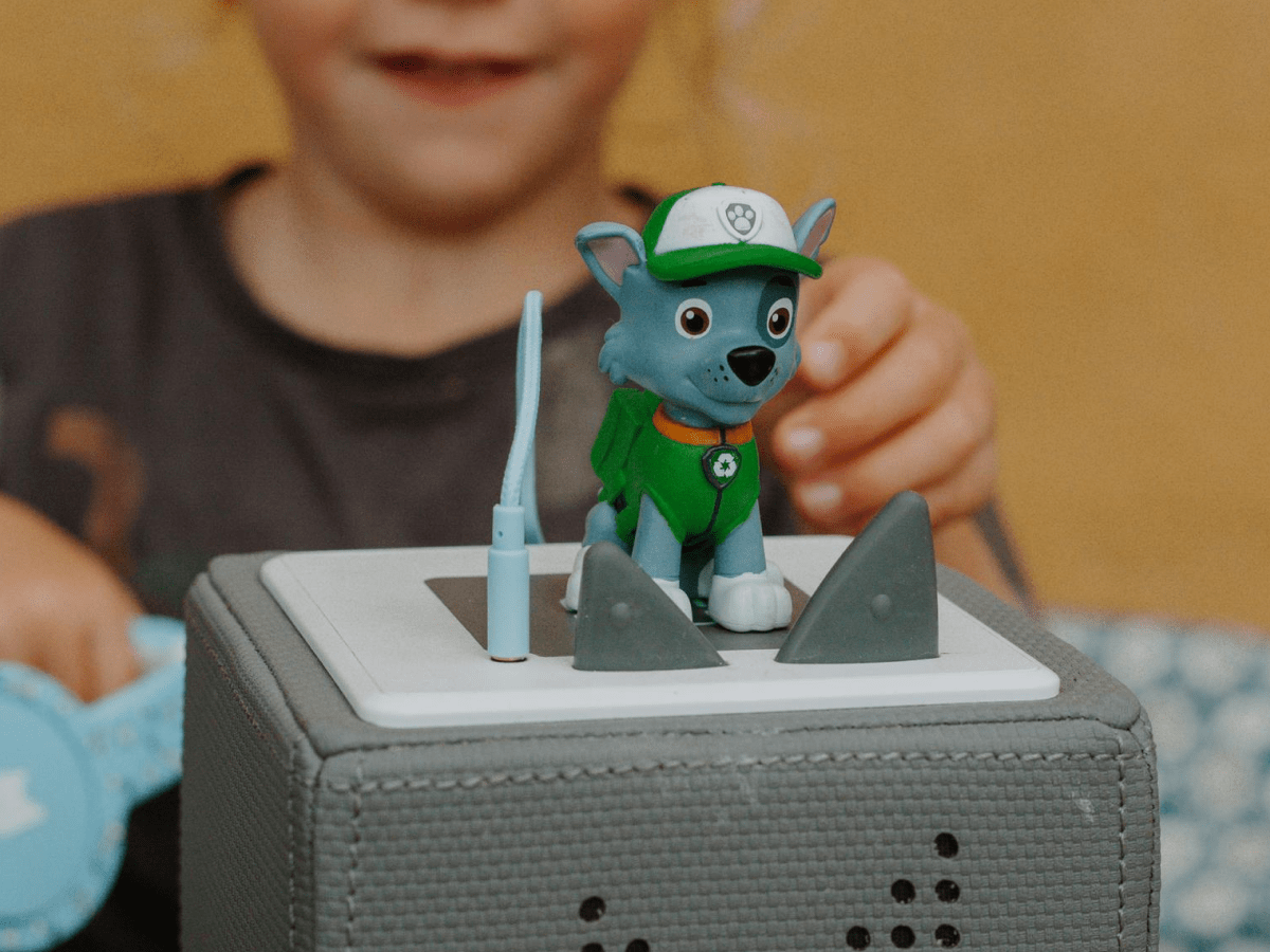 PAW Patrol: Rocky Tonie